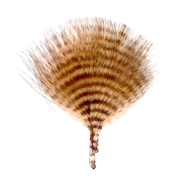 MFC Mini Barred Marabou