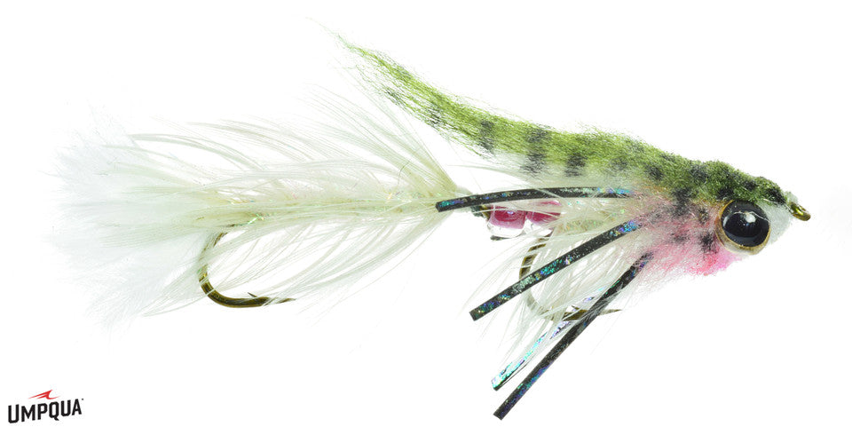 Umpqua Baby Gonga Fly