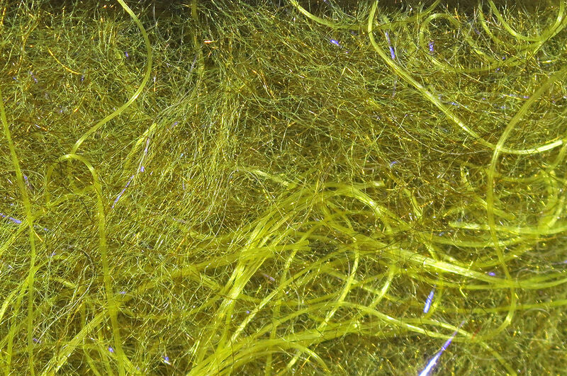 Dub de la carpa de Cohen