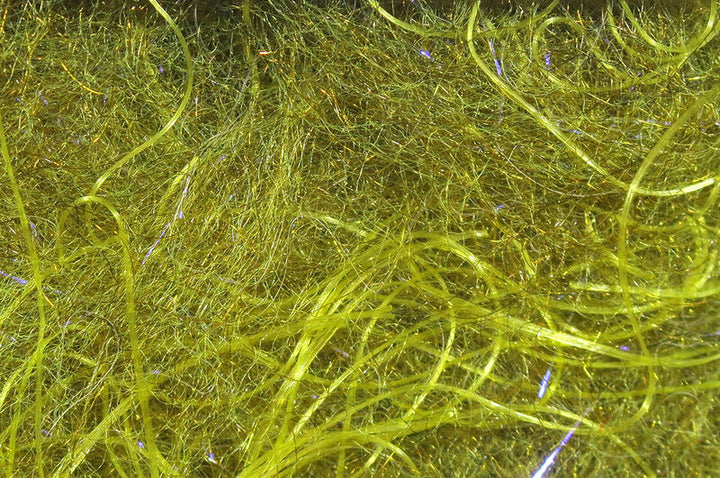 Dub de la carpa de Cohen