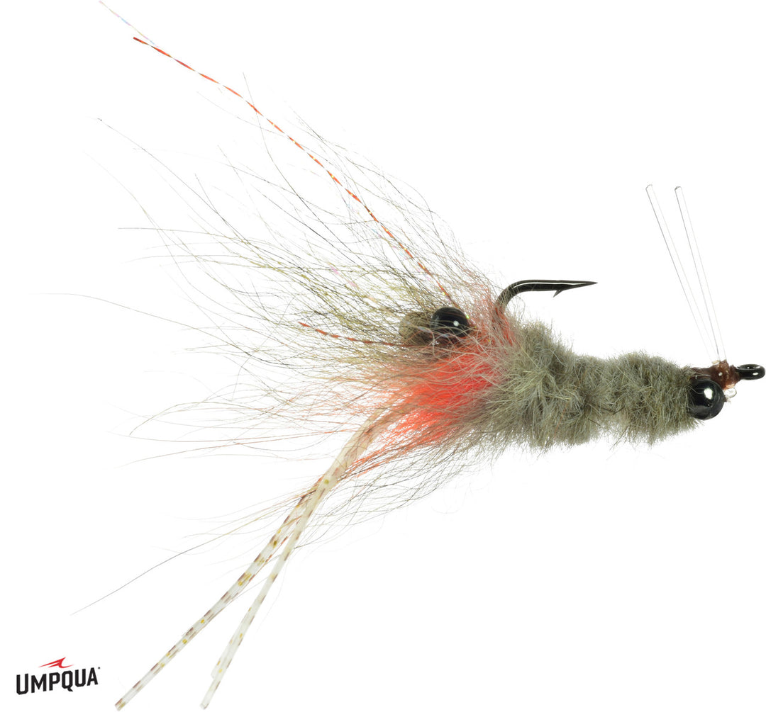 Umpqua Coyote Spawn Shrimp Fly