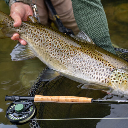 Temple Fork Outfitters Dispatch Reel