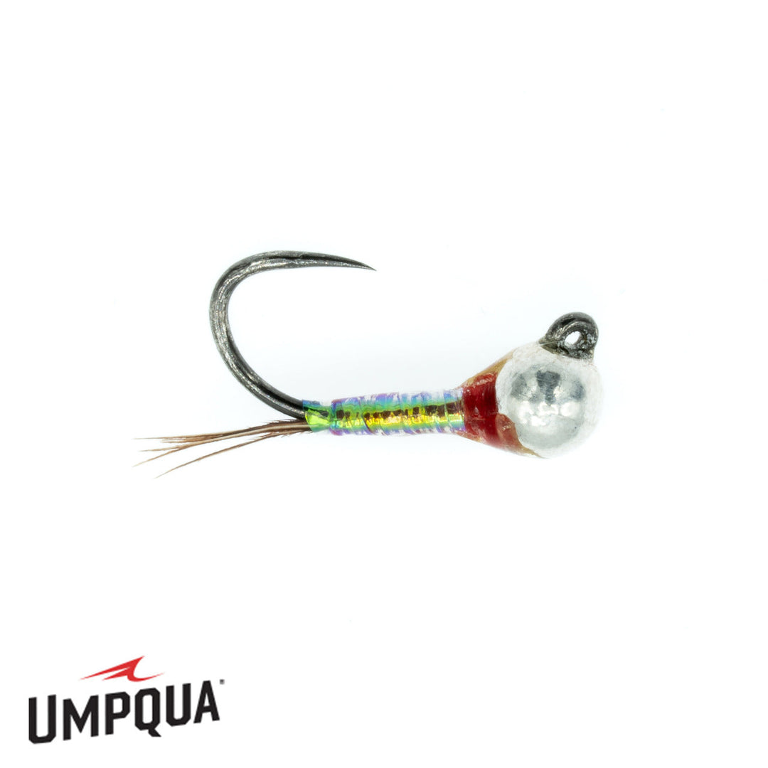 Tungsten Rainbow Warrior Perdigon
