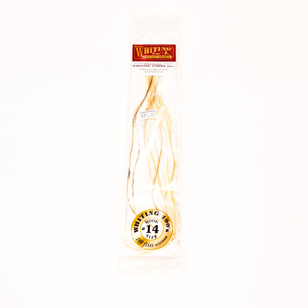 Whiting 100 Pack