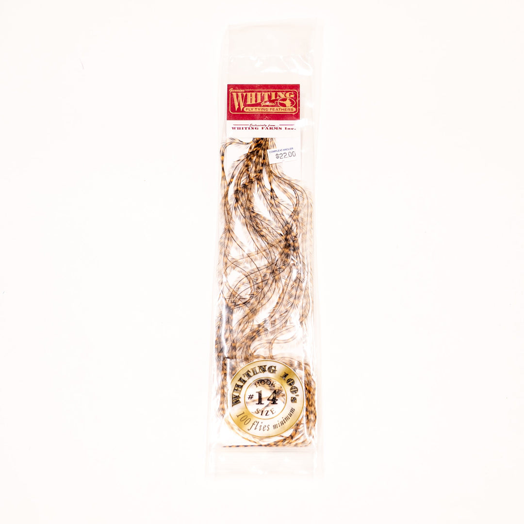 Whiting 100 Pack