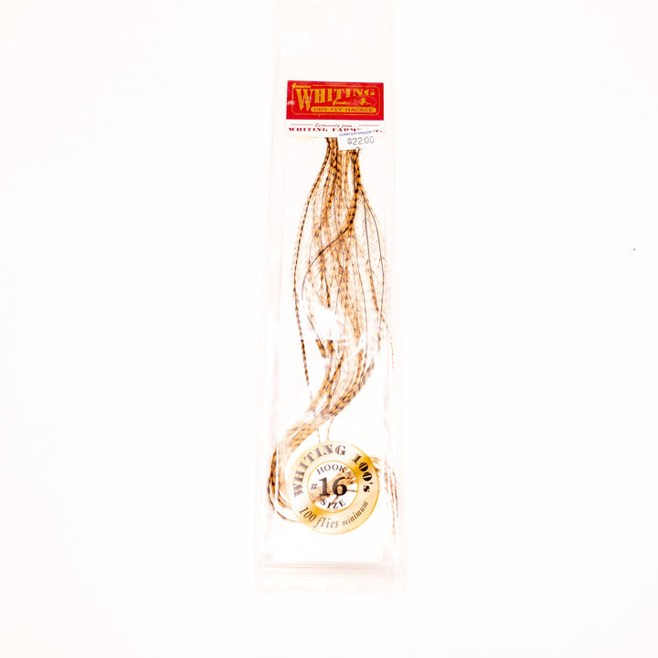Whiting 100 Pack