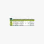 Rio Elite Gold Floating Fly Line
