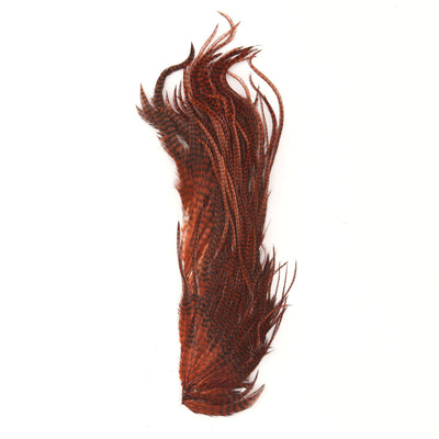 Hareline Half Grizzly Saddle Feathers