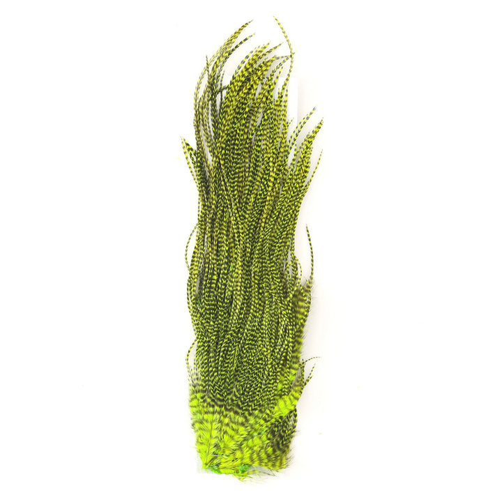Hareline Half Grizzly Saddle Feathers