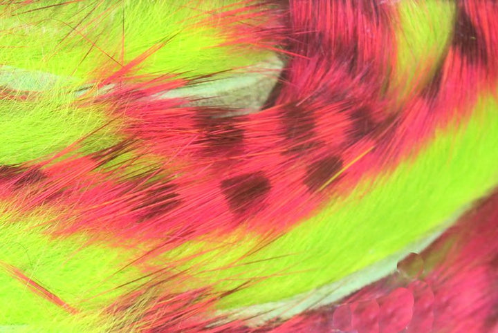 Hareline Magnum Tiger Barred Rabbit Strips
