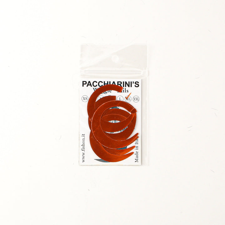 Pacchiarini's Wiggle Tail