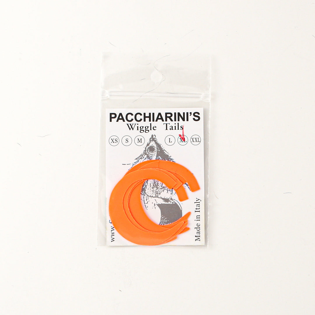 Pacchiarini's Wiggle Tail