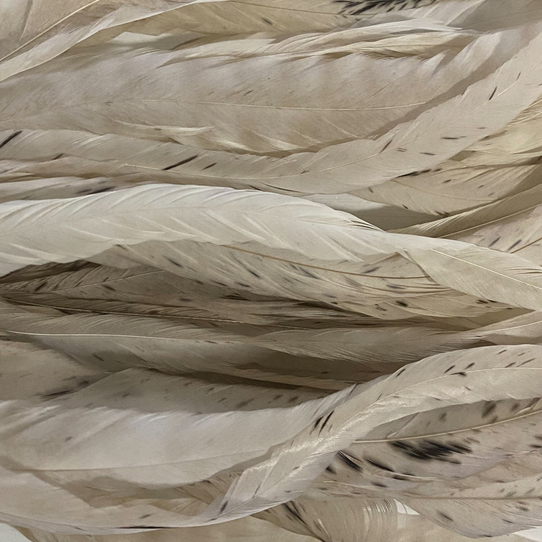 Whiting Farms Schlappen Feathers 10" to 14"