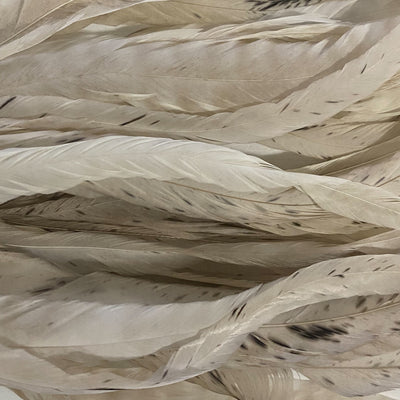 Whiting Farms Schlappen Feathers 10" to 14"