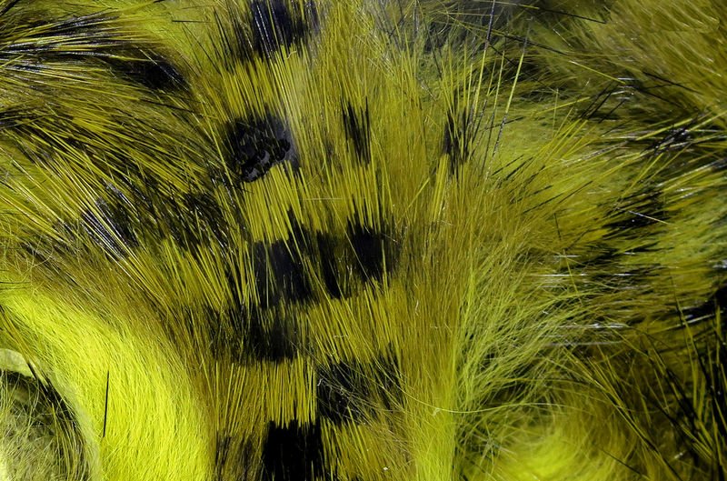 Hareline Magnum Tiger Barred Rabbit Strips