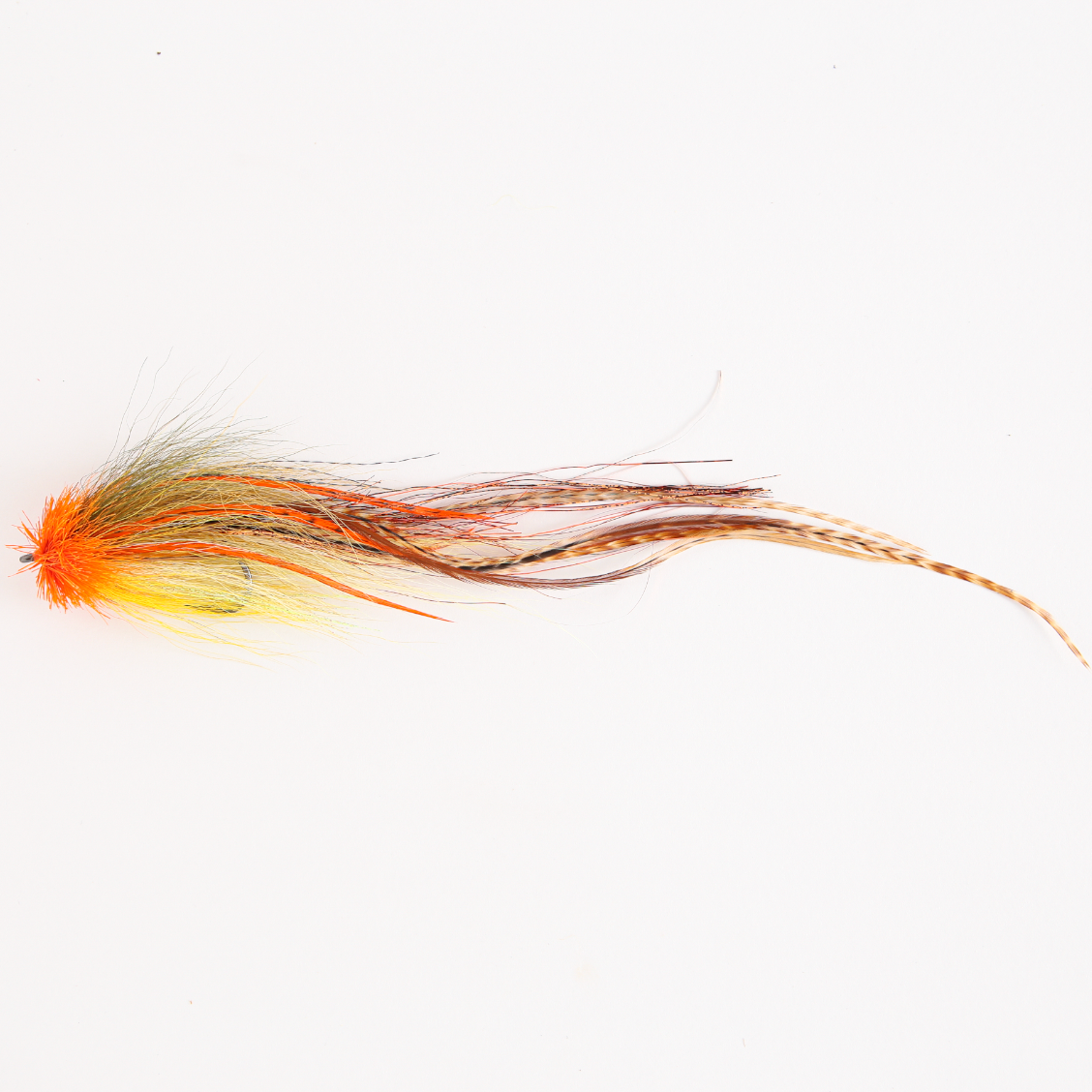 Ellis Ward's Bulkhead Fly