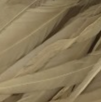 Whiting Farms Schlappen Feathers 10" to 14"