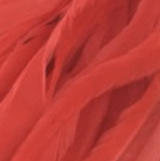 Whiting Farms Schlappen Feathers 10" to 14"