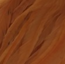 Whiting Farms Schlappen Feathers 10" to 14"