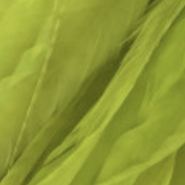 Whiting Farms Schlappen Feathers 10" to 14"