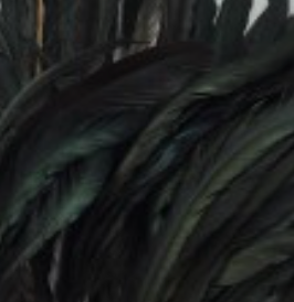 Whiting Farms Schlappen Feathers 10" to 14"
