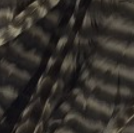 Whiting Farms Schlappen Feathers 10" to 14"