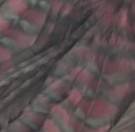 Whiting Farms Schlappen Feathers 10" to 14"