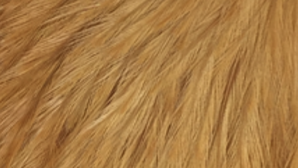 Whiting Farms Schlappen Feathers 10" to 14"