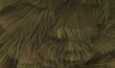 Whiting Farms Schlappen Feathers 10" to 14"
