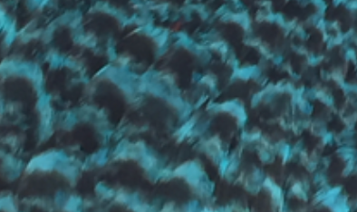 Whiting Farms Schlappen Feathers 10" to 14"