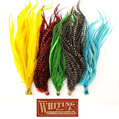 Whiting Farms Schlappen Feathers 14"+