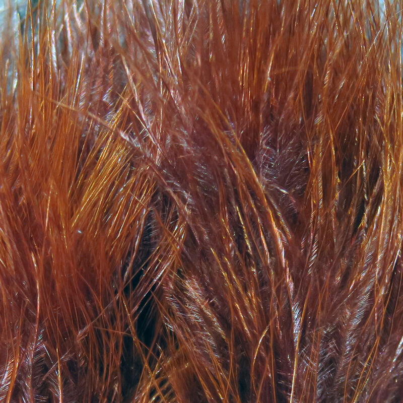 Hareline Marabou Blood Quills