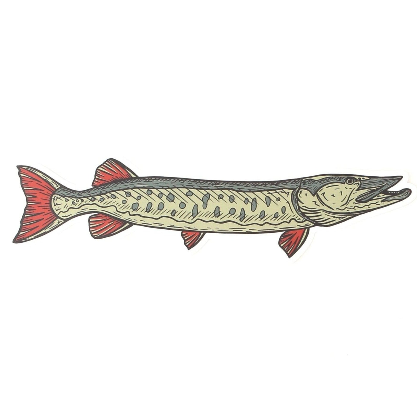 Musky Fool Detailed Fish Sticker - Color
