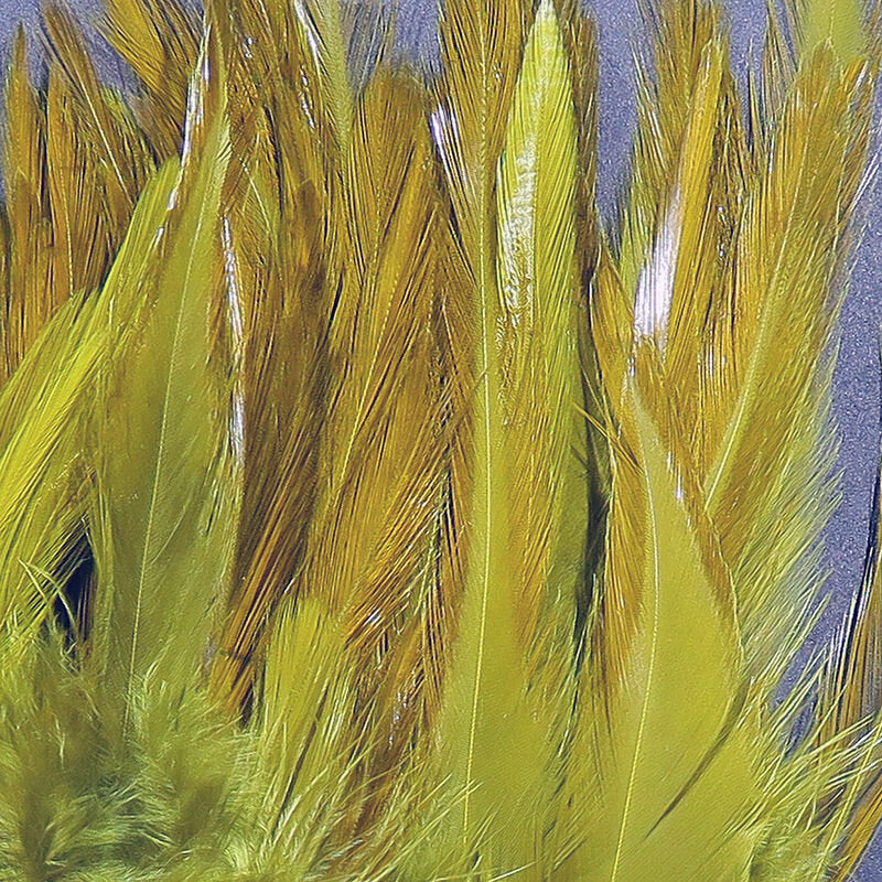 Hareline Strung Chinese Saddle Feathers 5" to 7"