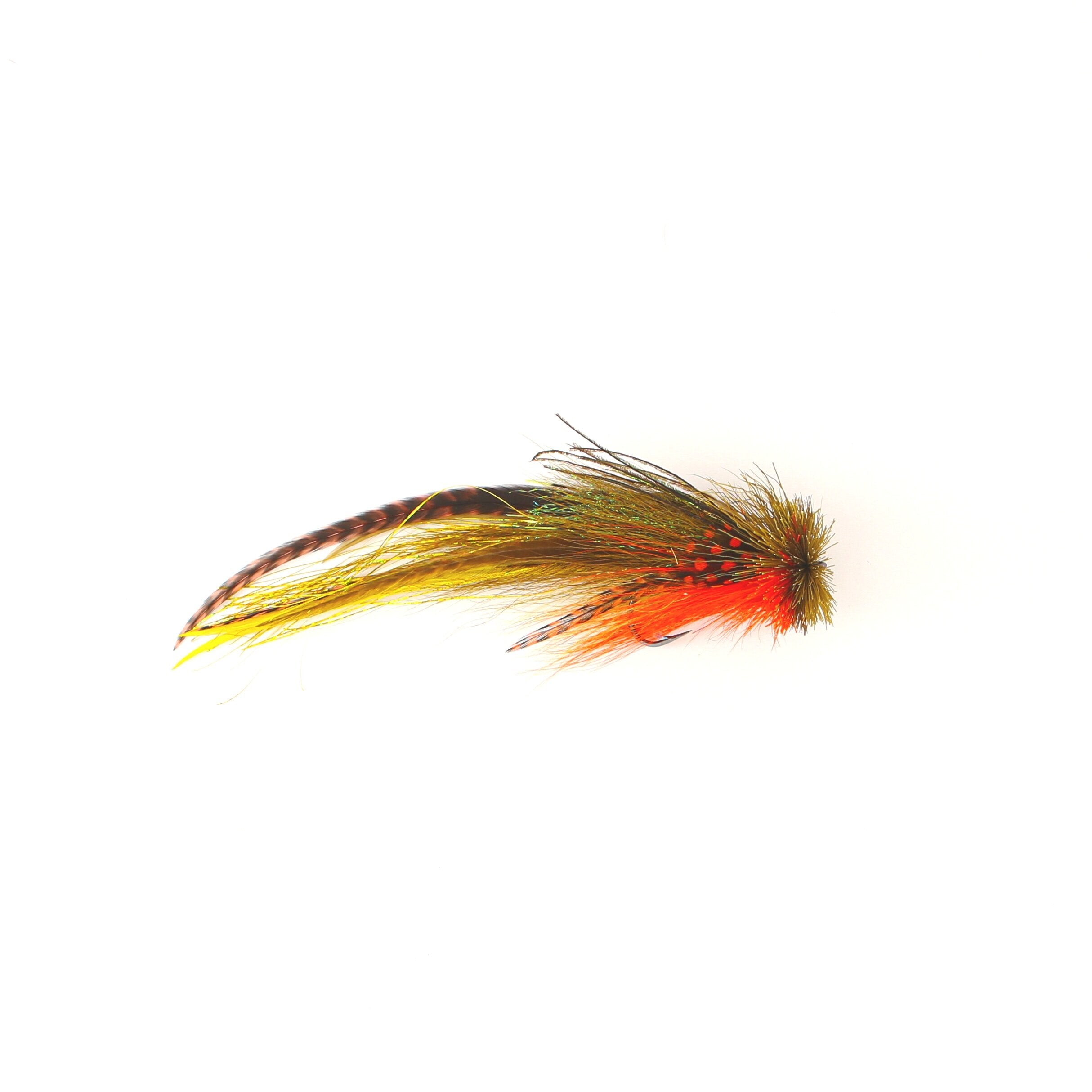 NATIVE　A FLY FISHER'S VIEW Into The Wild West | Fly Fishing For Native Cutthroat Trout